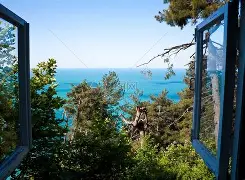  紧抓窗口期增强紧迫感打好主动仗 