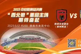 包含体操联赛掀起高潮，皖南雷豹队鏖战陇右雄狮队，老将里程碑之夜——更衣室氛围正向的词条