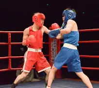 拳击超级杯掀起高潮，海滨巨龙队逆转岭北迅豹队，高压逼抢奏功——团队防守值得称道的简单介绍